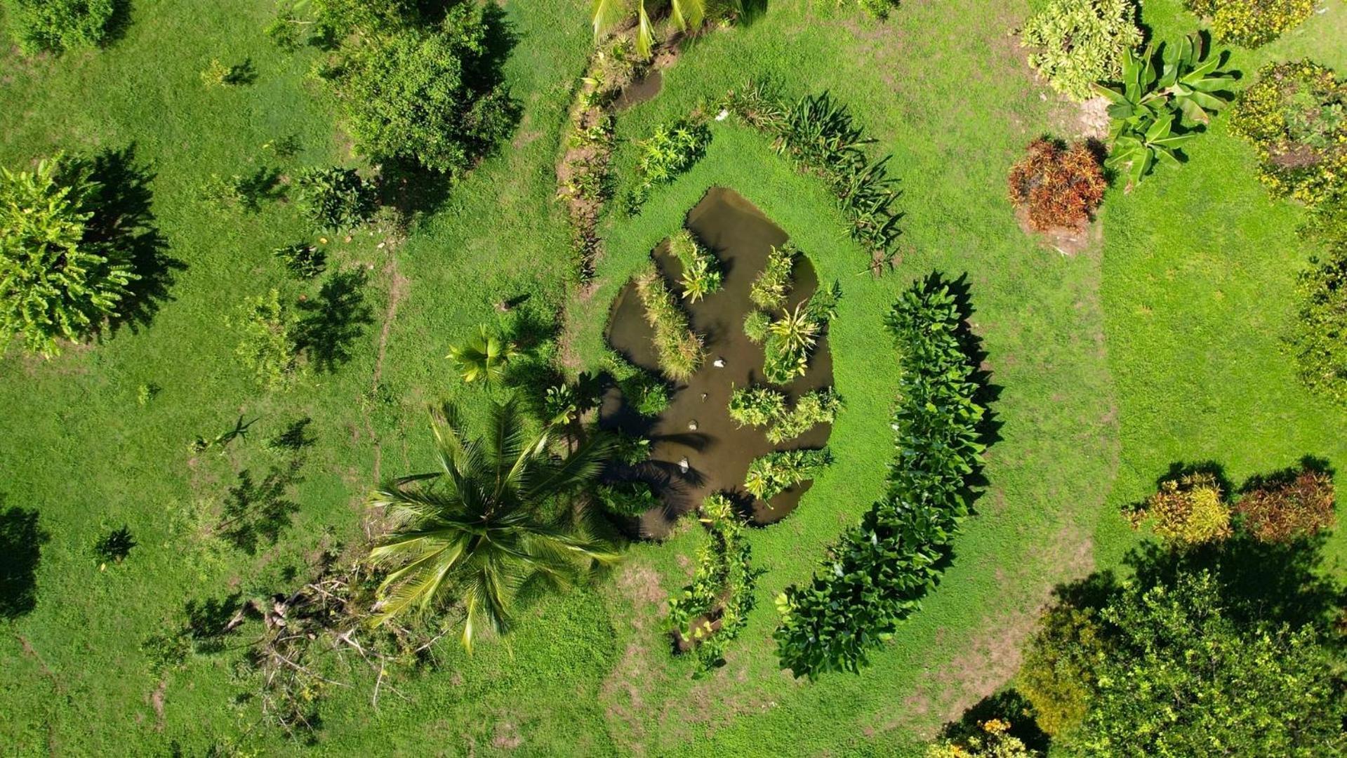 Вилла Eden Corcovado San Pedrillo Экстерьер фото